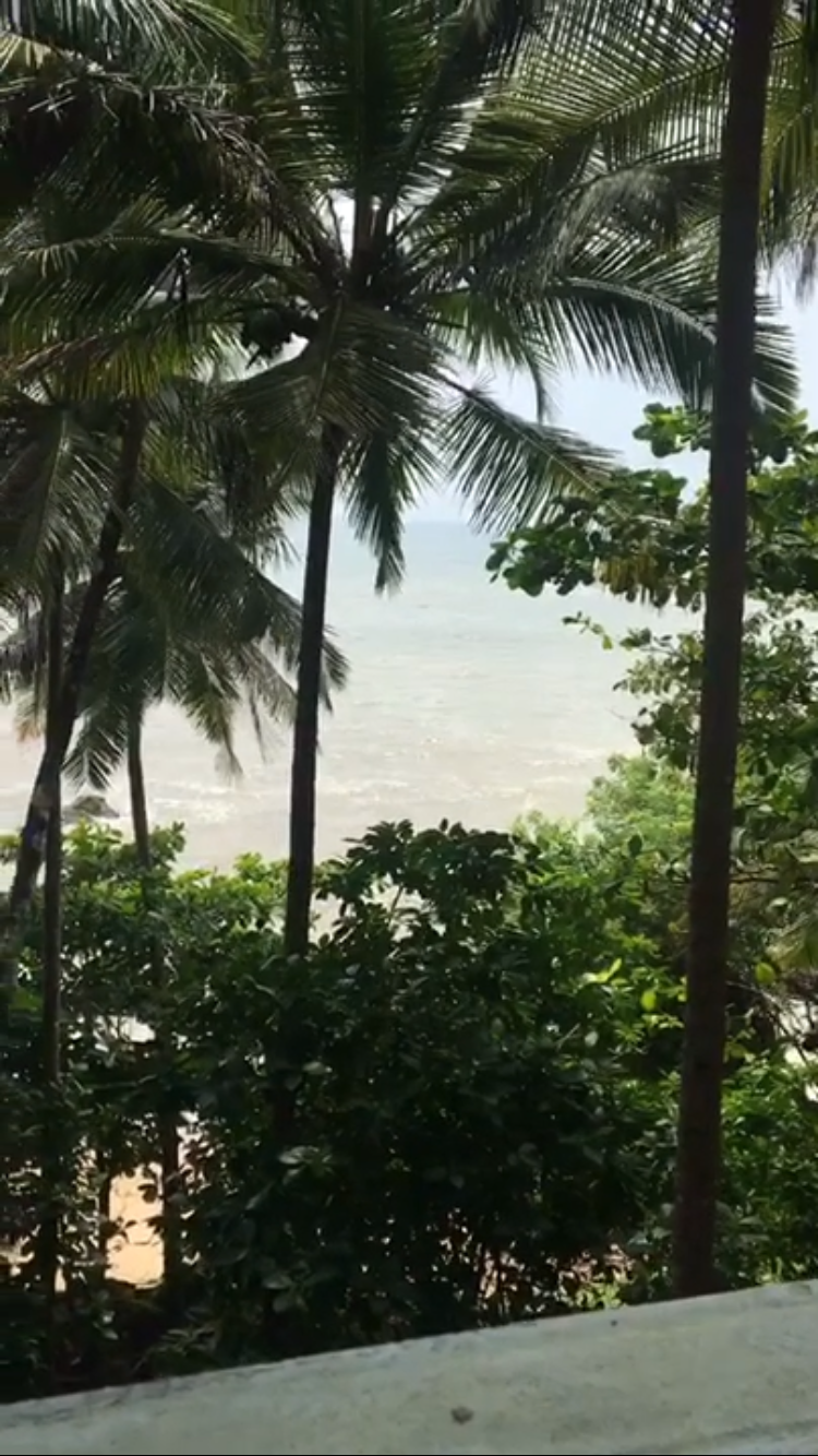 Photo of Long Weekend Diaries | Bangalore - Coorg - Kannur - Bangalore by Addy's travelogue