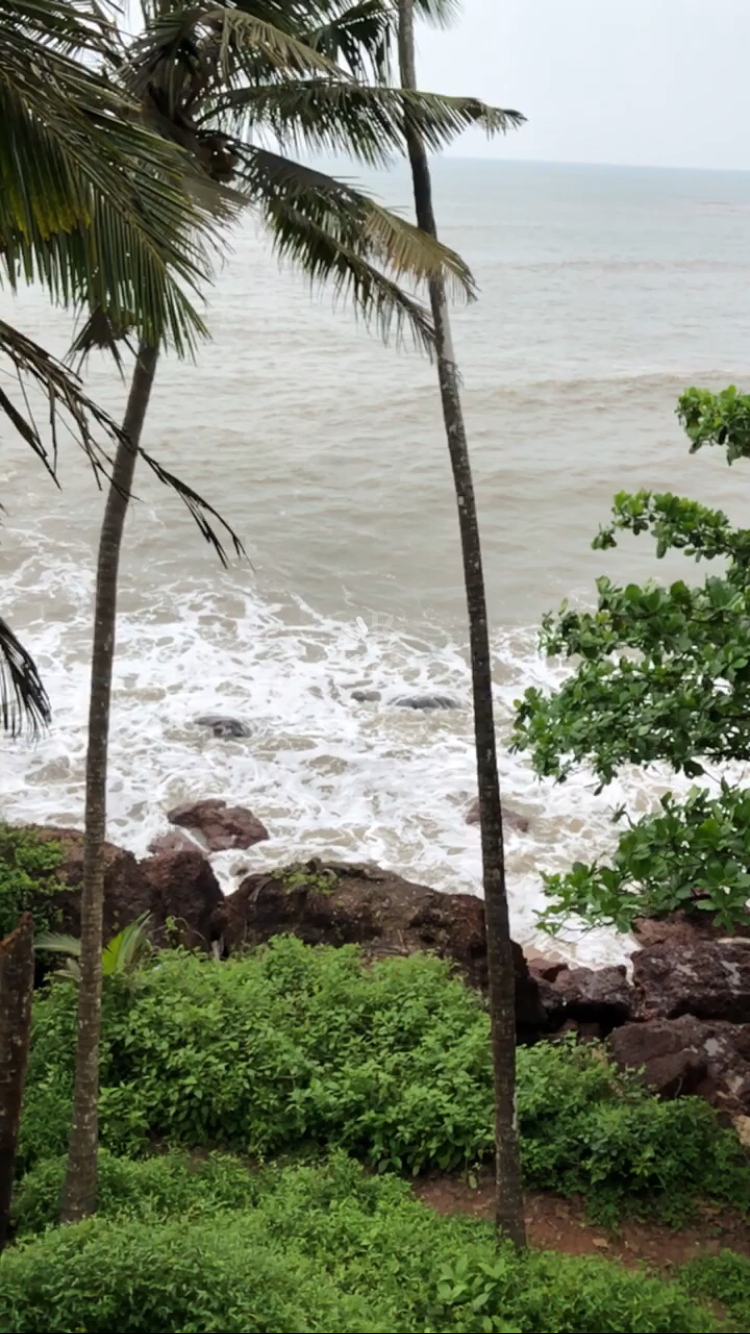 Photo of Long Weekend Diaries | Bangalore - Coorg - Kannur - Bangalore by Addy's travelogue