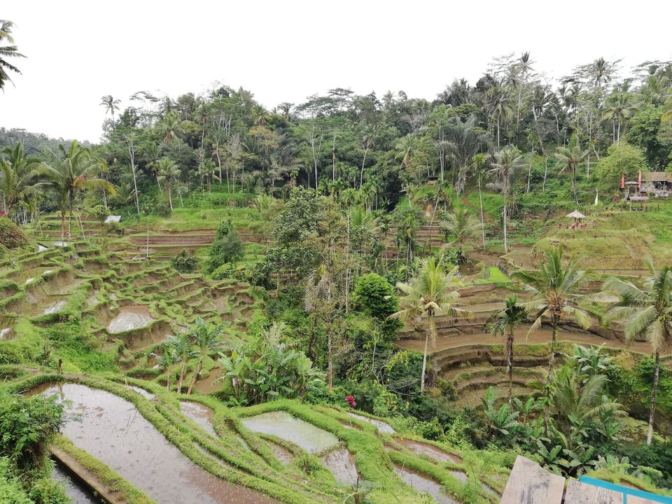 Photo of Bali with my Bali Babes - Girls trip to Bali by Addy's travelogue