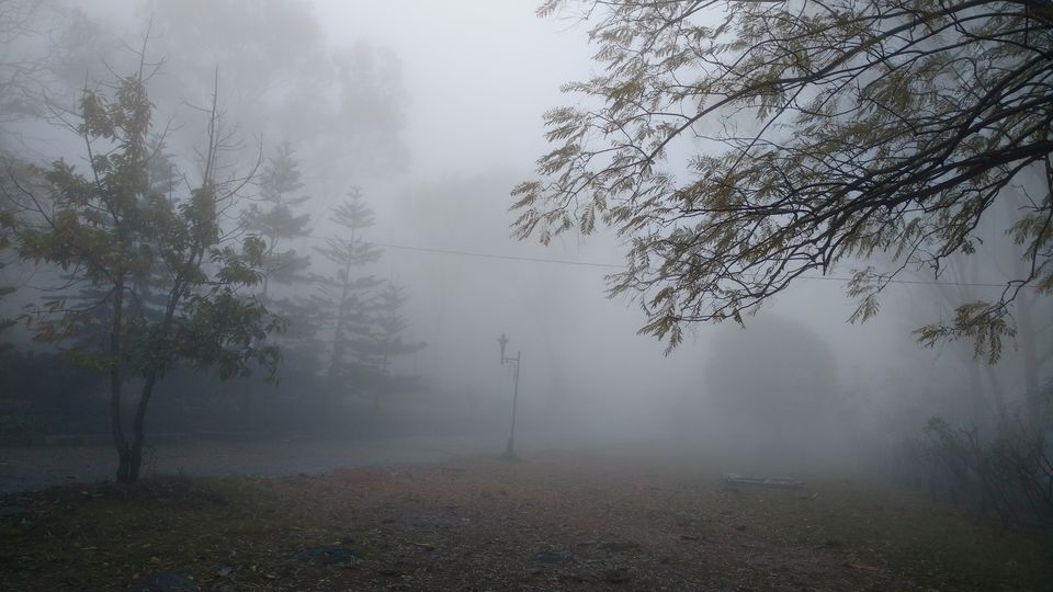 Photo of 'A Drive to remember-Horsely Hills' 5/6 by SuperbRunawayTurtle