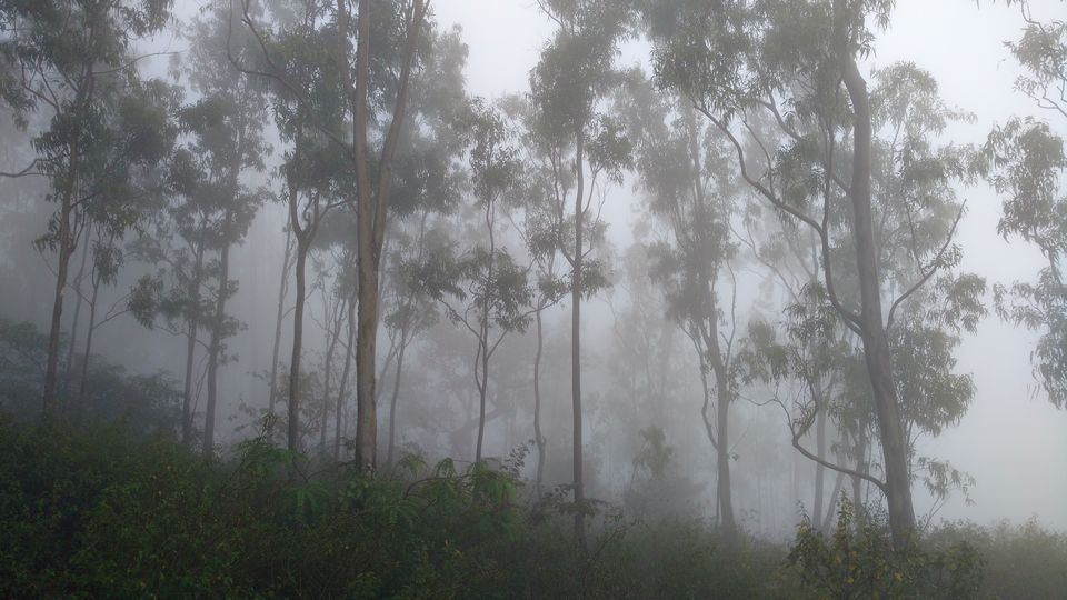 Photo of 'A Drive to remember-Horsely Hills' 6/6 by SuperbRunawayTurtle