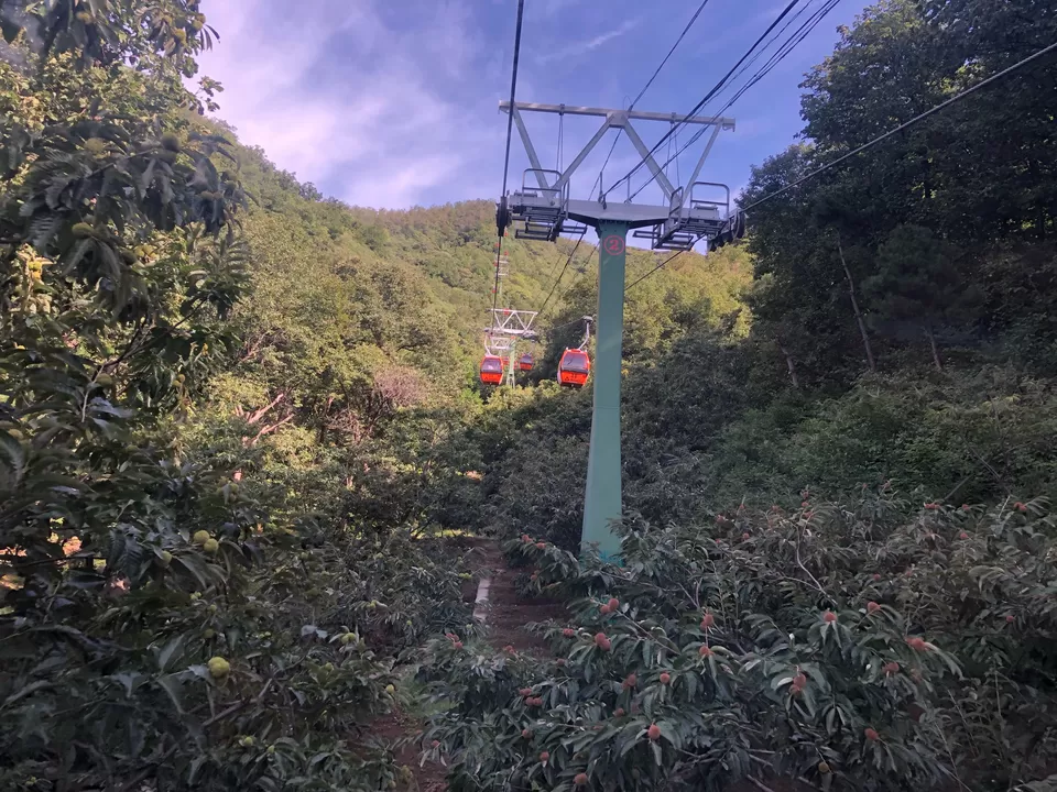 Photo of Great Wall of China, Mutianyu Great Wall, Huairou, China by Venkatesh Nayak