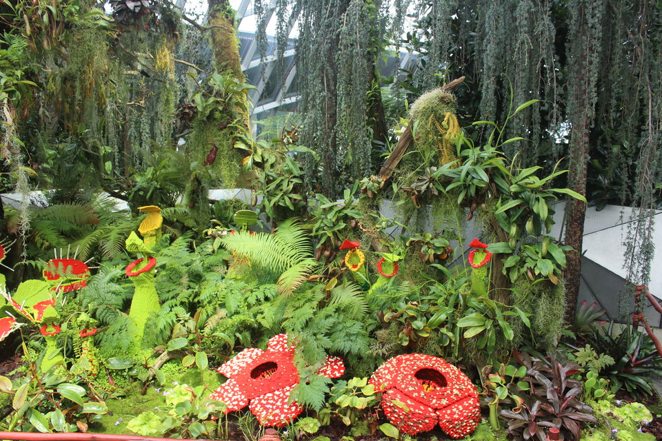 Photo of Singapore-Family trip for 5 days 15/19 by Venkatesh Nayak