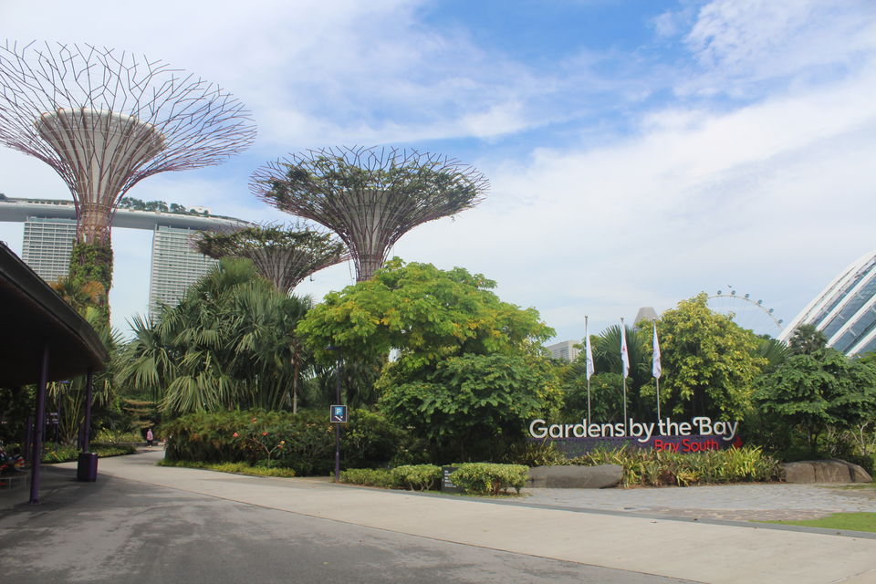 Photo of Singapore-Family trip for 5 days 16/19 by Venkatesh Nayak