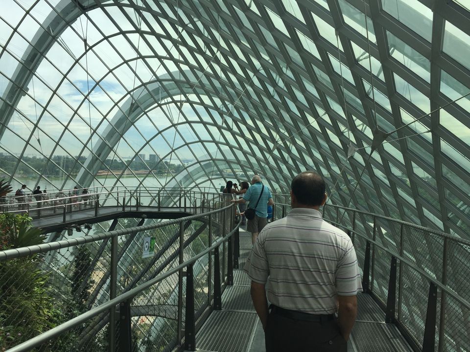 Photo of Singapore-Family trip for 5 days 19/19 by Venkatesh Nayak