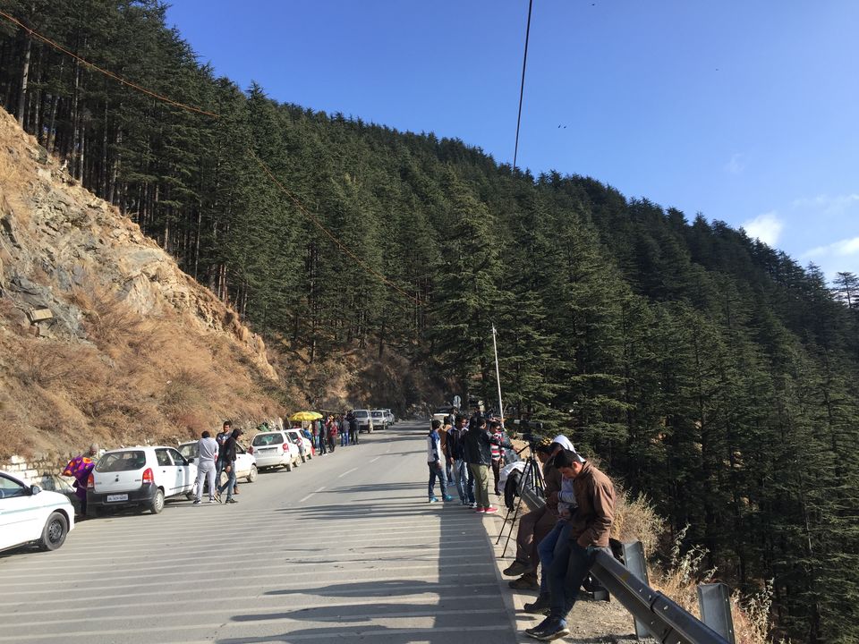 Photo of Snow city - Shimla manali Trip during Winter by Venkatesh Nayak