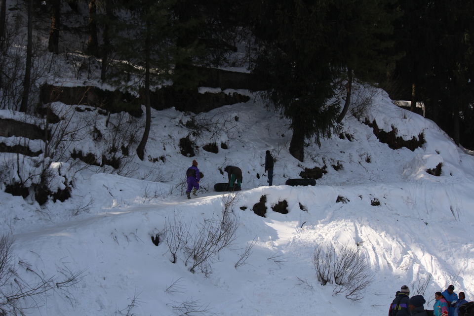 Photo of Snow city - Shimla manali Trip during Winter by Venkatesh Nayak