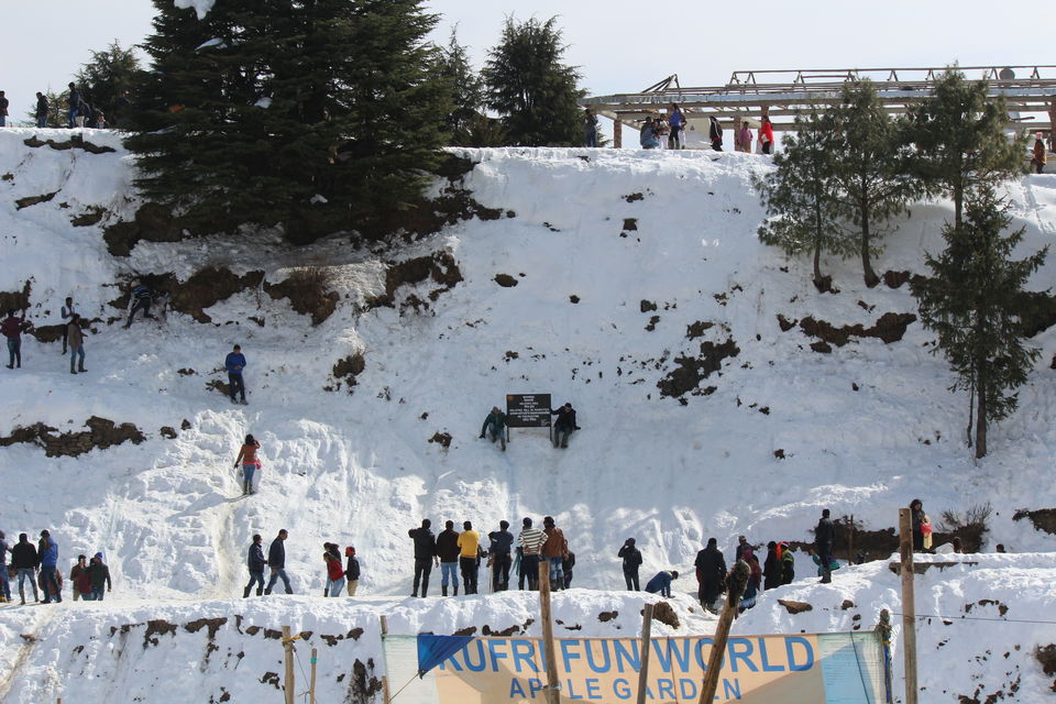 Photo of Snow city - Shimla manali Trip during Winter by Venkatesh Nayak