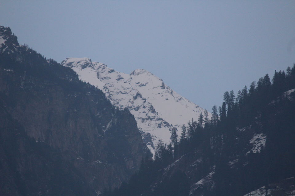 Photo of Snow city - Shimla manali Trip during Winter by Venkatesh Nayak