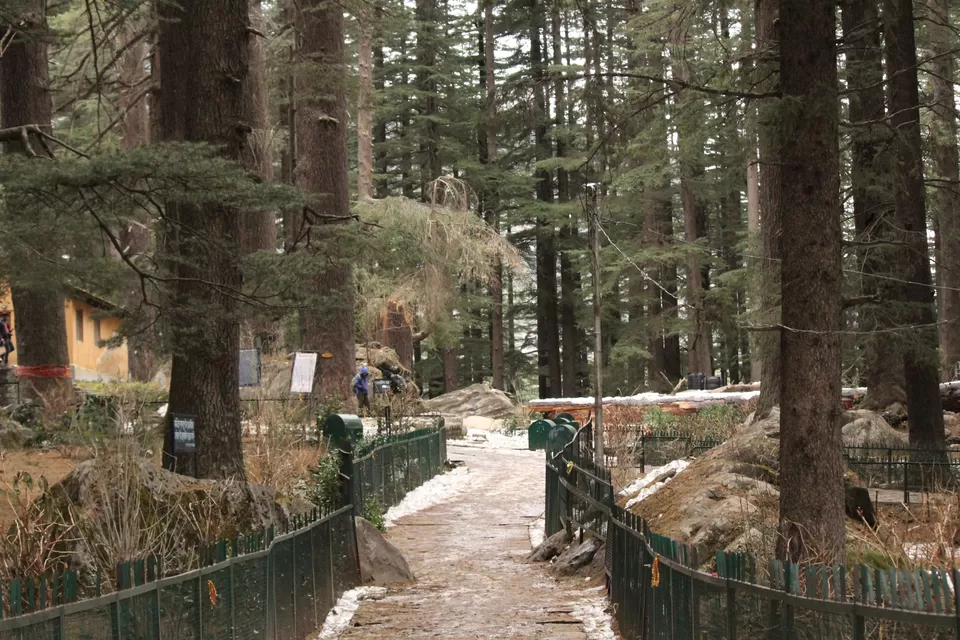 Photo of Manali, Himachal Pradesh, India by Venkatesh Nayak