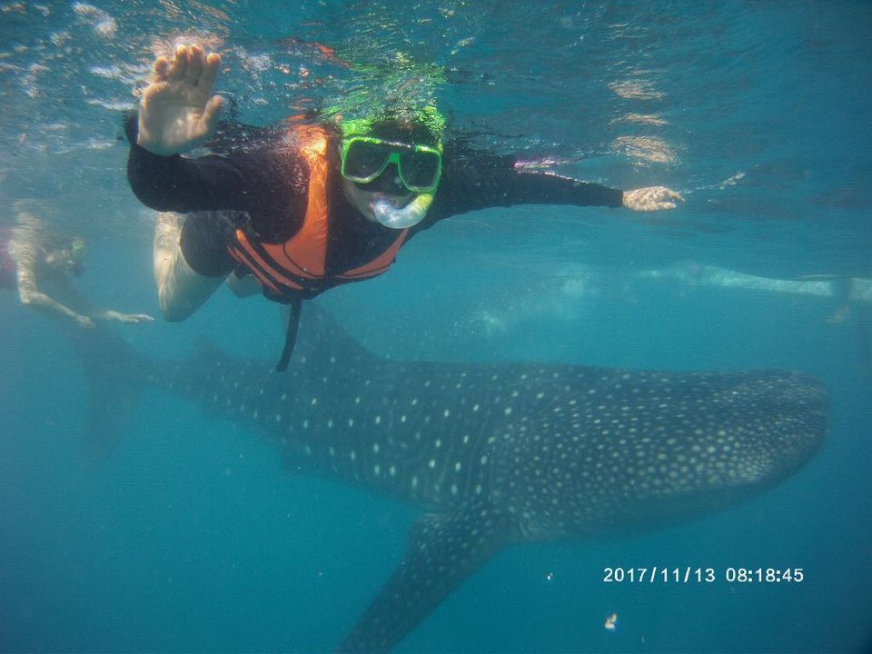 Photo of Oslob Whale Shark Watching, Natalio Bacalso Avenue, Oslob, Philippines by Venkatesh Nayak