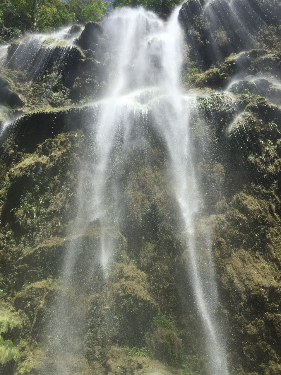 Photo of Tumalog Falls, Oslob, Central Visayas, Philippines by Venkatesh Nayak