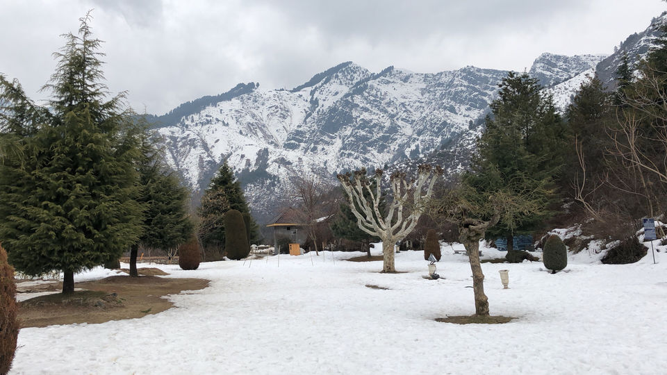 Photo of Paradise On Earth -Kashmir In Winter by Venkatesh Nayak