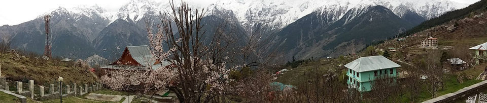 Photo of Kalpa, Reckong Peo, Himachal Pradesh, India by tukuC