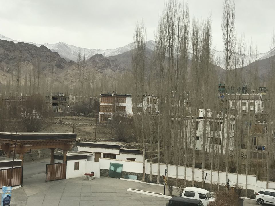 Photo of The Grand Dragon Ladakh, Leh by tukuC