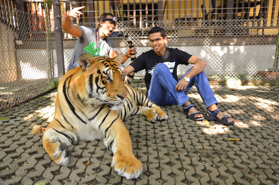 Photo of Thank you Thailand | Best of Asia | Chiang Mai | Bangkok 27/27 by arunvlogger
