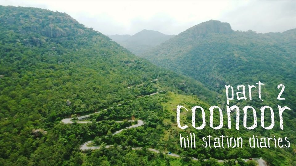 Photo of Mudumalai Tiger Reserve, Masinagudi, Pykara Falls, Pine Forest - Hill Station Diaries! by arunvlogger