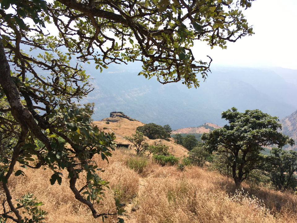 Photo of Rajmachi Trek | Offroading to Rajmachi 27/40 by arunvlogger