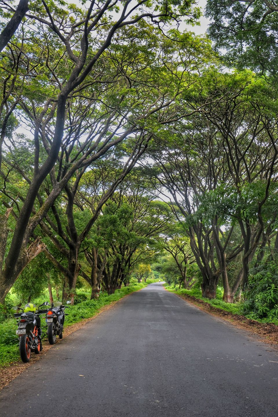 Photo of Thane, Maharashtra, India by Jegan Somu (motowanderer)