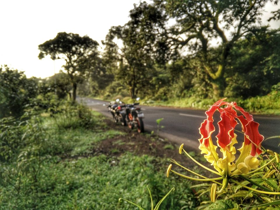 Photo of Thane, Maharashtra, India by Jegan Somu (motowanderer)