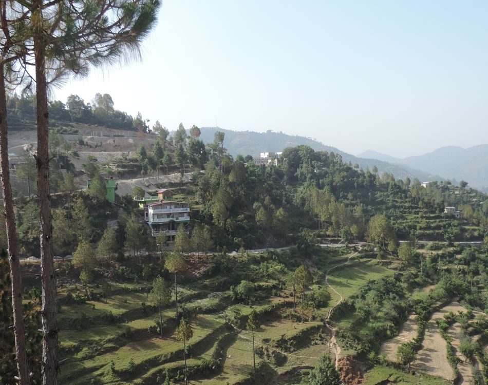 Photo of Mukteshwar Group Tours by Praveen Verma