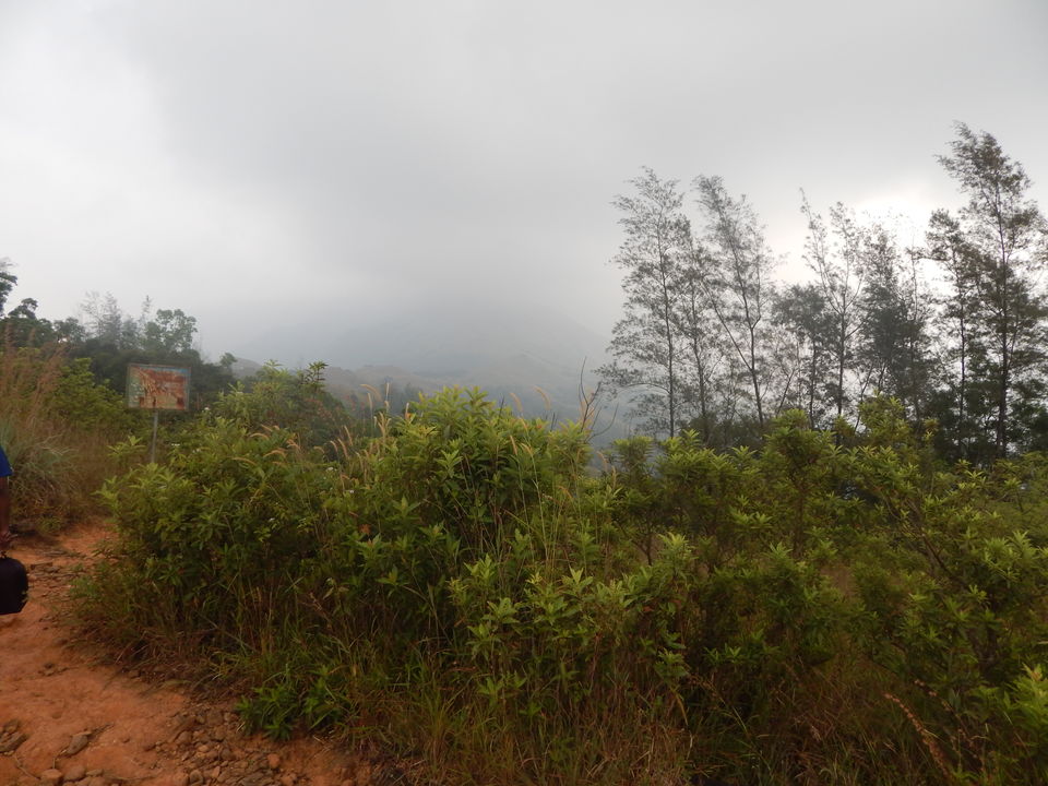 Photo of Trek of all Terrains - Kumara Parvatha by Arthi Balasubramanian