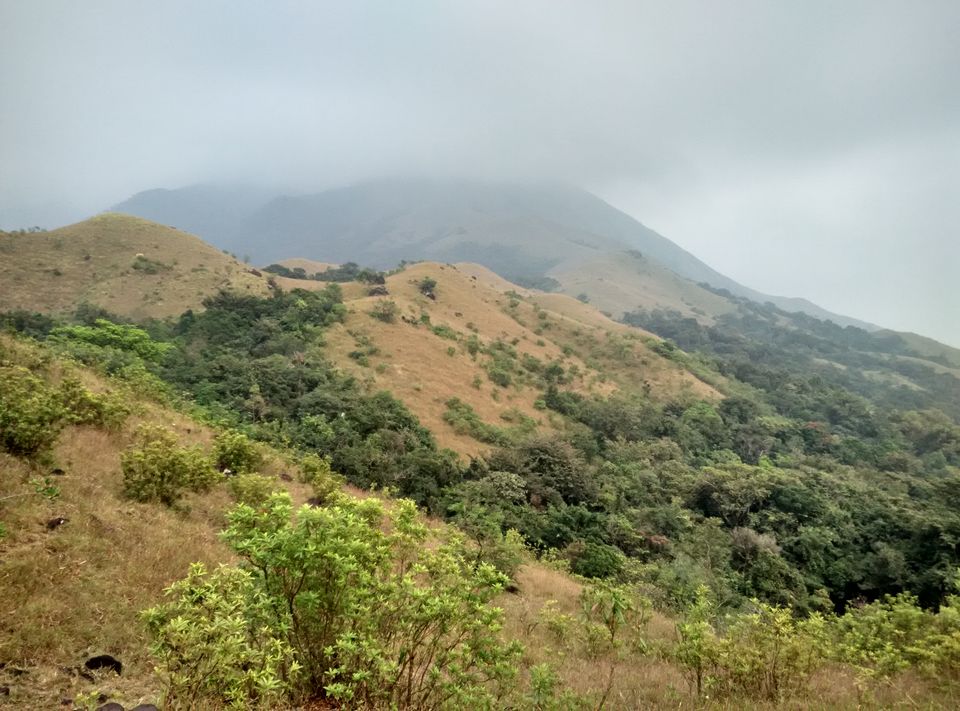 Photo of Trek of all Terrains - Kumara Parvatha by Arthi Balasubramanian