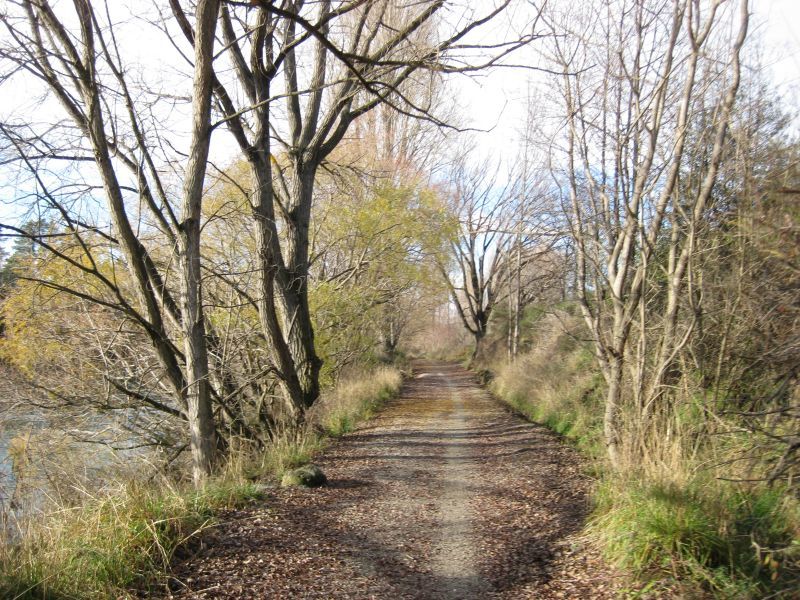 Photo of Otago Central Rail Trail, Dunedin, Otago, New Zealand by Andy Petit
