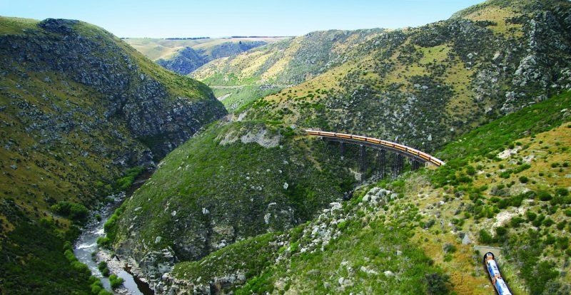 Photo of Fun Things to Do in Otago by Andy Petit