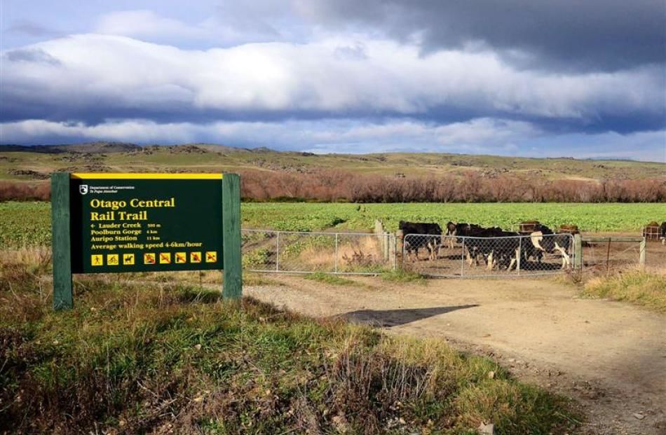 Photo of Fun Things to Do in Otago by Andy Petit