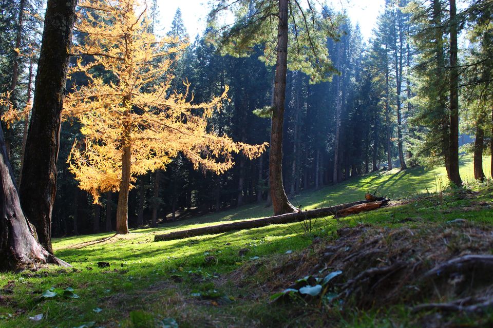 Photo of Kasol, Himachal Pradesh, India by Pradeep Bani
