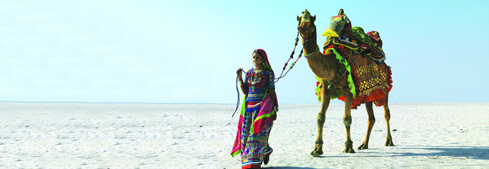 Photo of A Guide to Kutch Rann Utsav 2017-2018: All You Need to Know Before You Go to Kutch 3/17 by Rann Utsav