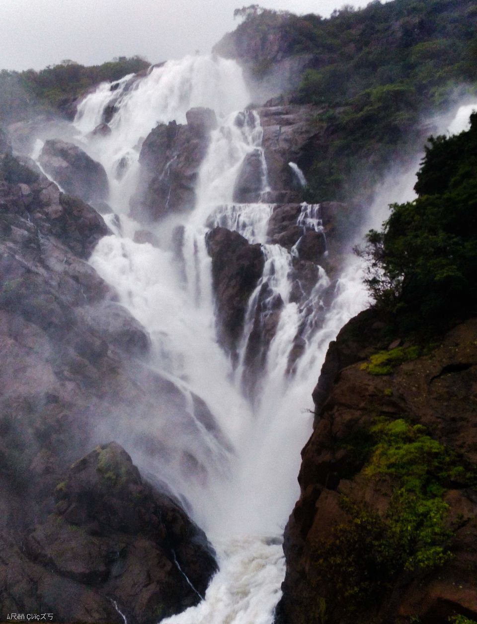 Photo of Trek to Mighty Dudh Sagar Waterfall 1/1 by Nagarjuna Alaparthi