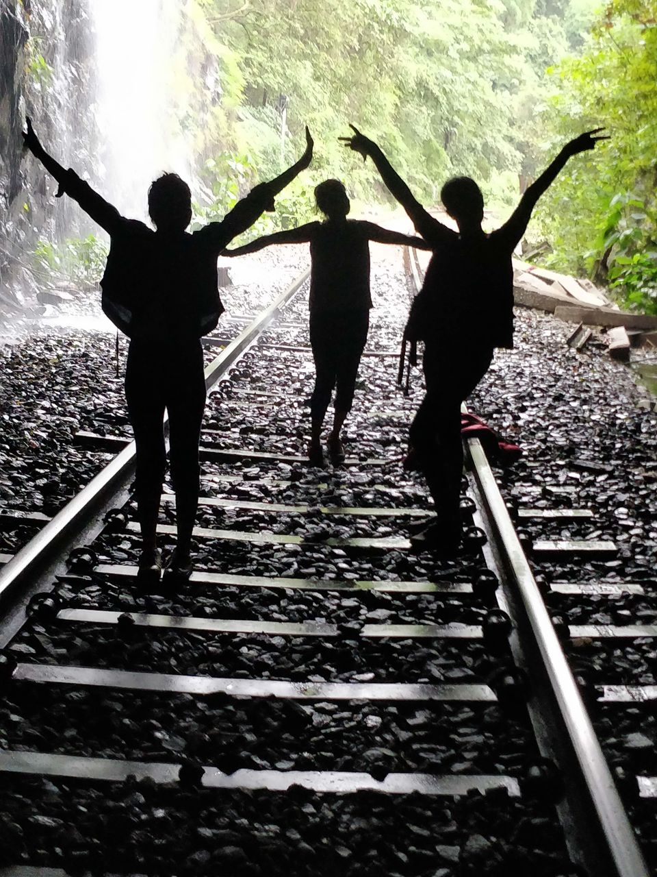 Photo of Trek to Mighty Dudh Sagar Waterfall by Nagarjuna Alaparthi