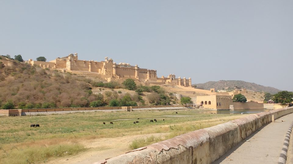 Photo of Amber Palace, Amer, Jaipur, Rajasthan, India by Sarvjeet B