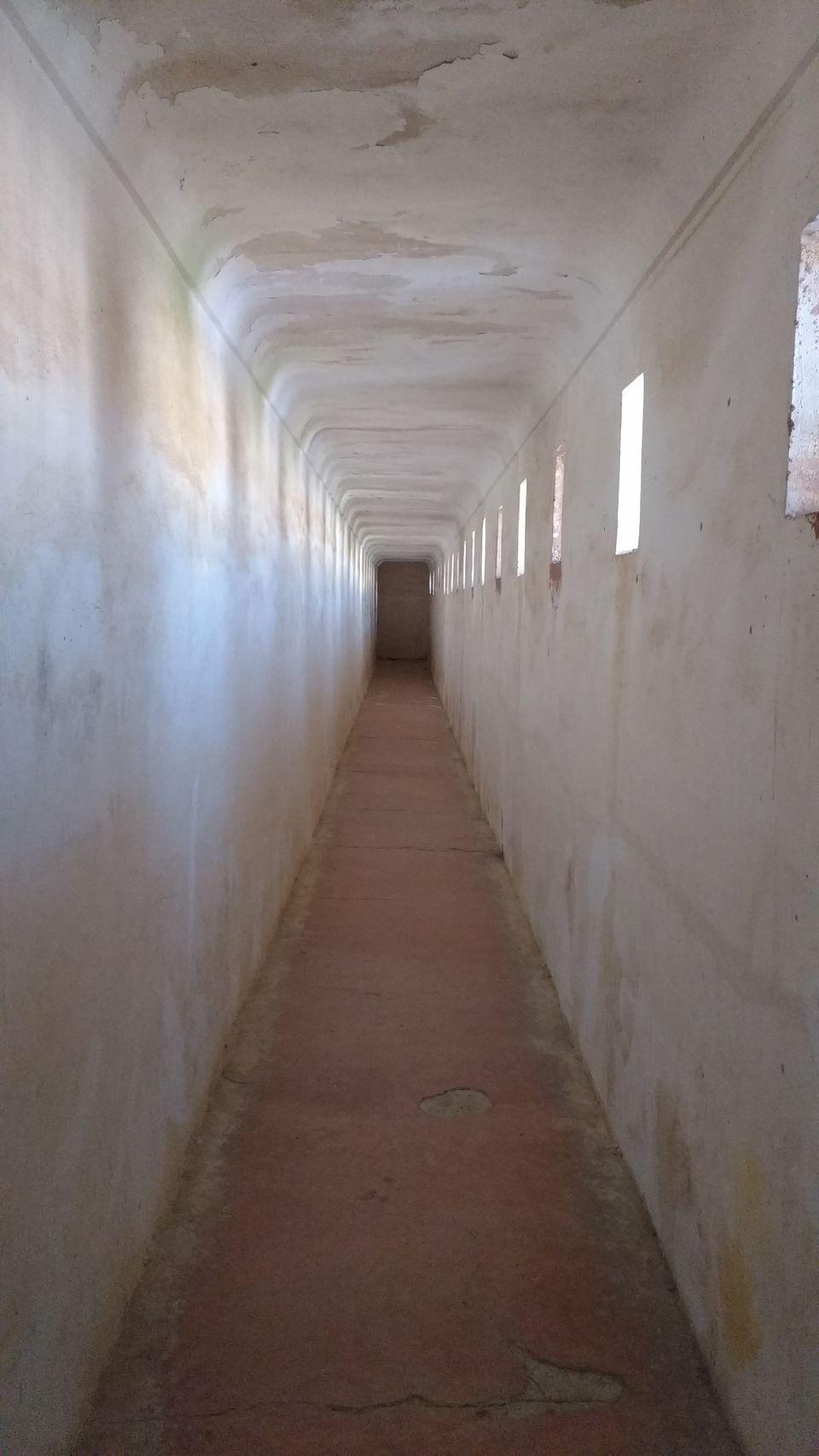 Photo of Amber Palace, Amer, Jaipur, Rajasthan, India by Sarvjeet B