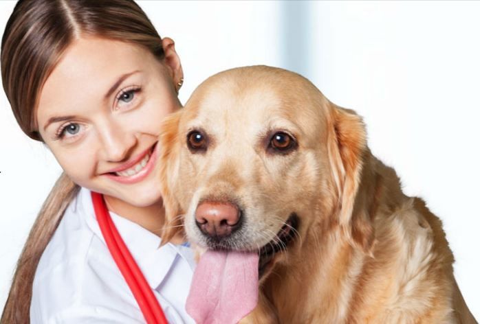 Photo of South Bellmore Veterinary Group New York, Tokyo Opening: Boarding 1/1 by Johnnie R. Oyer