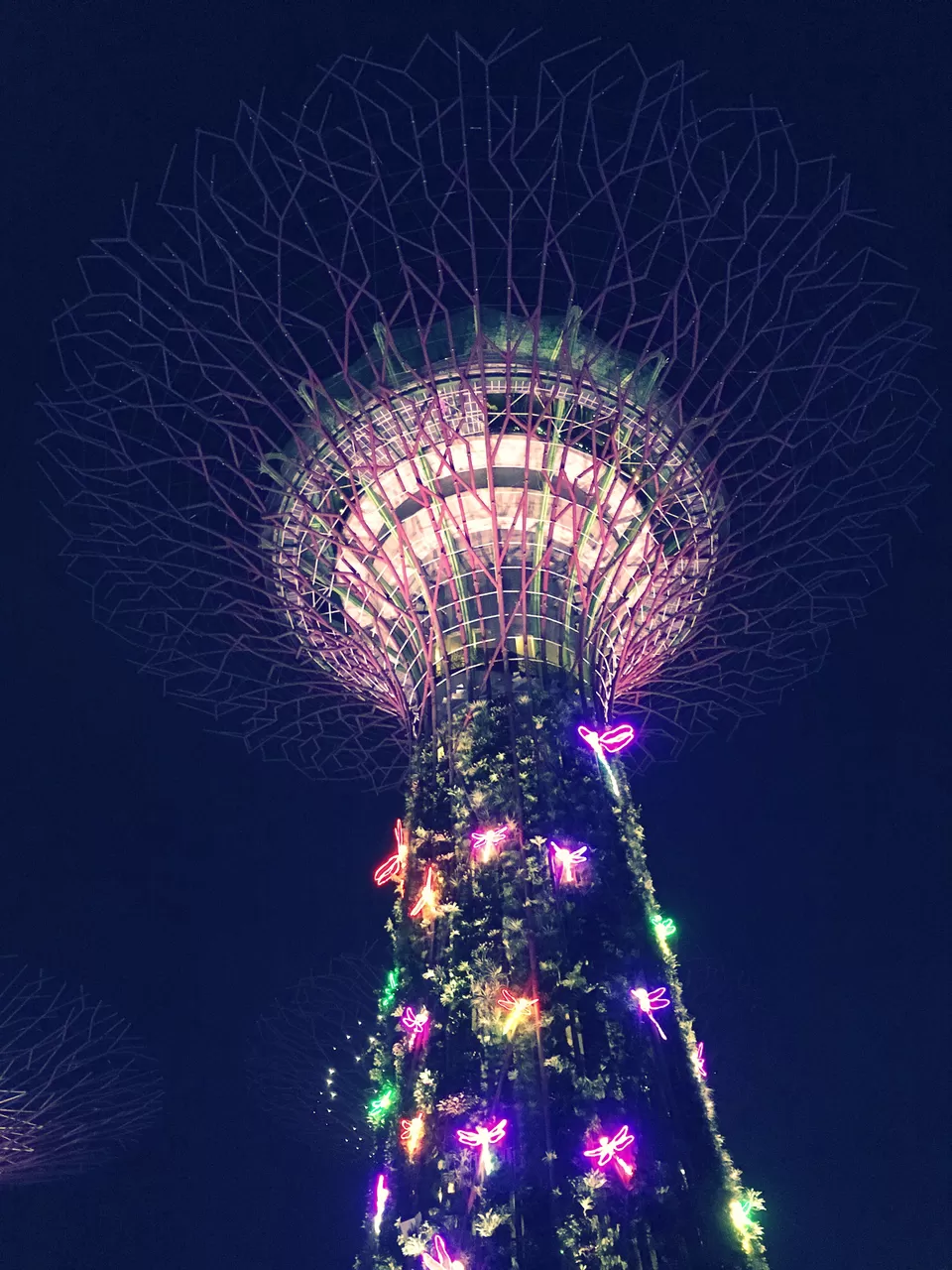 Photo of Gardens by the Bay Singapore by Swetha Kumar