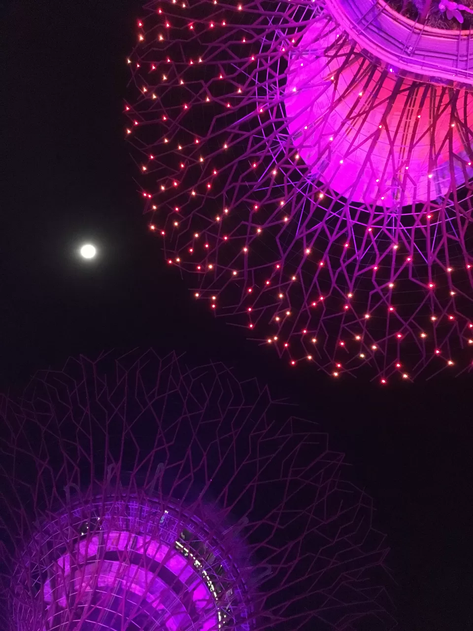 Photo of Gardens by the Bay Singapore by Swetha Kumar