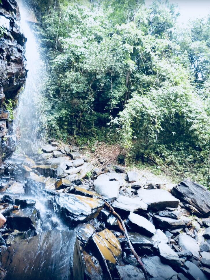 Photo of Amidst the river is Coffee Gudda 9/12 by Swetha Kumar