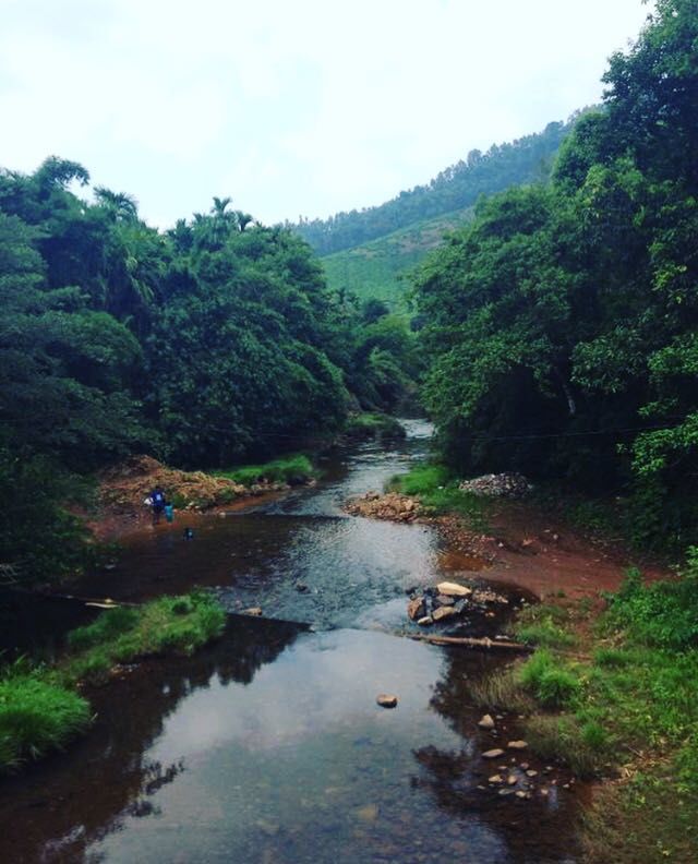 Photo of Amidst the river is Coffee Gudda 10/12 by Swetha Kumar