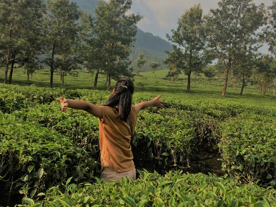 Photo of Munnar+Marayoor= Bliss by Swetha Kumar