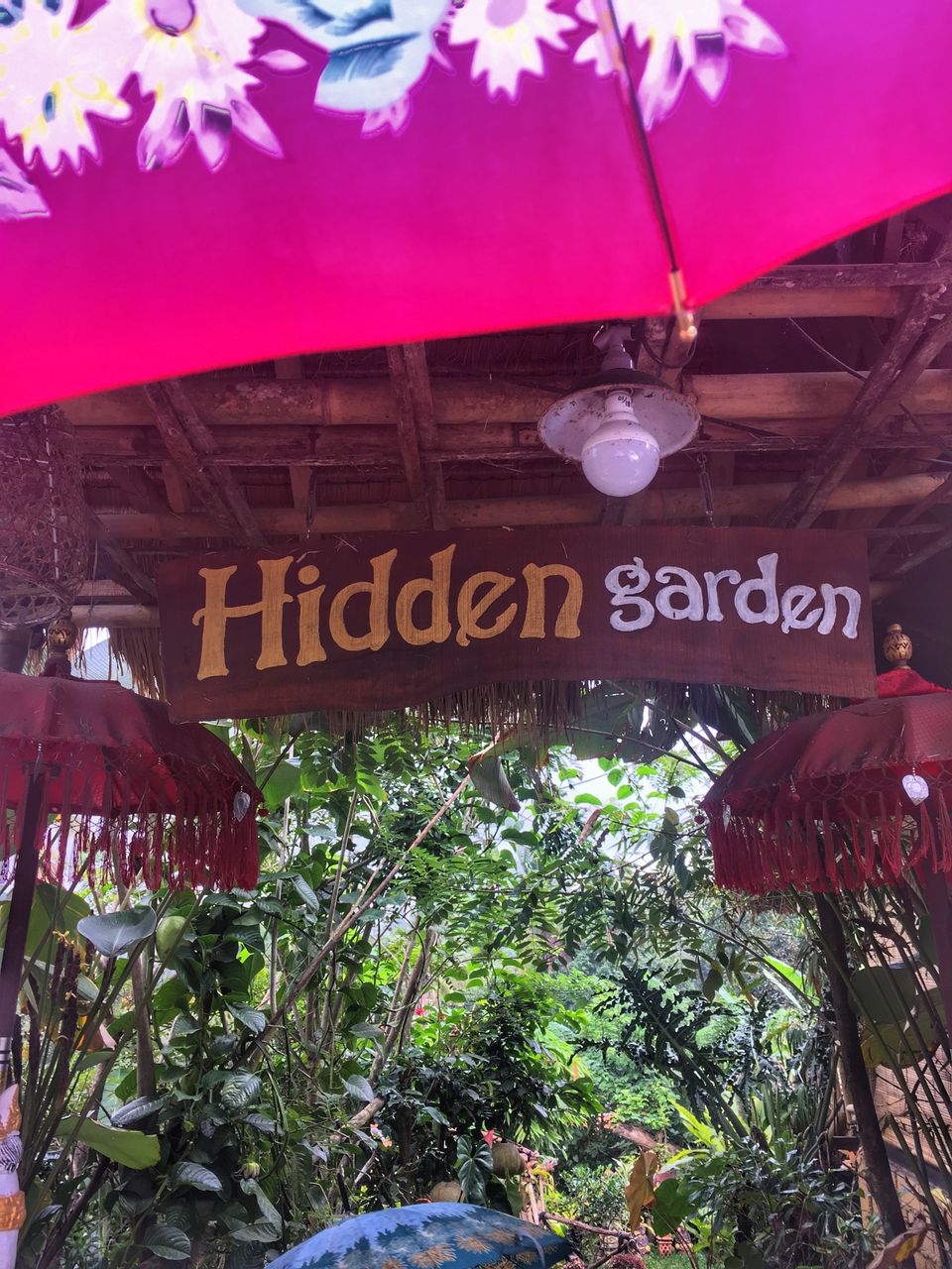 Photo of Luwak Coffee In Hidden Garden Agriculture Bali by Swetha Kumar