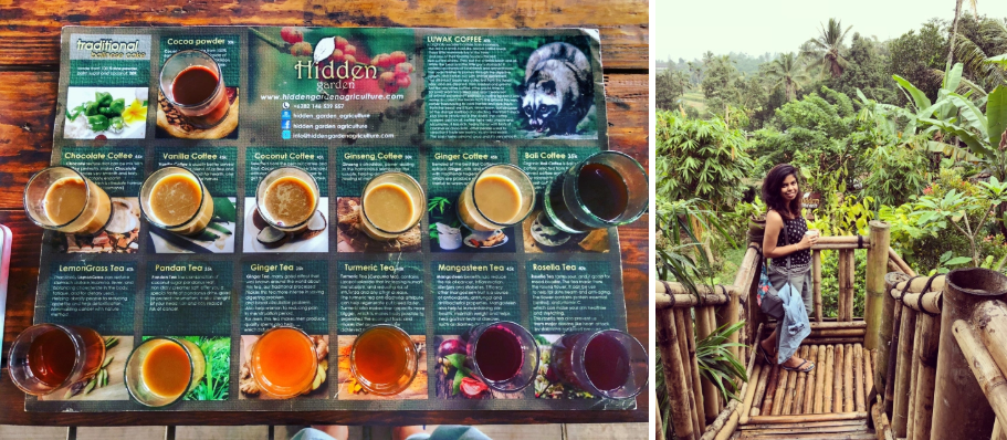 Photo of Luwak Coffee In Hidden Garden Agriculture Bali 2/4 by Swetha Kumar