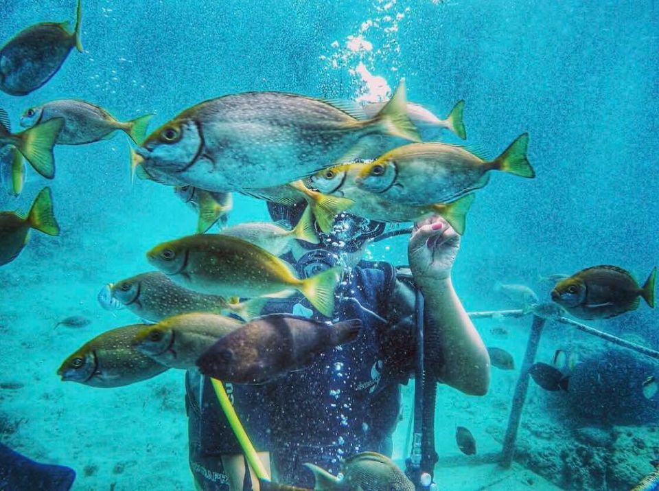 Photo of I left my heart in Bali #photosabroad 4/10 by Swetha Kumar