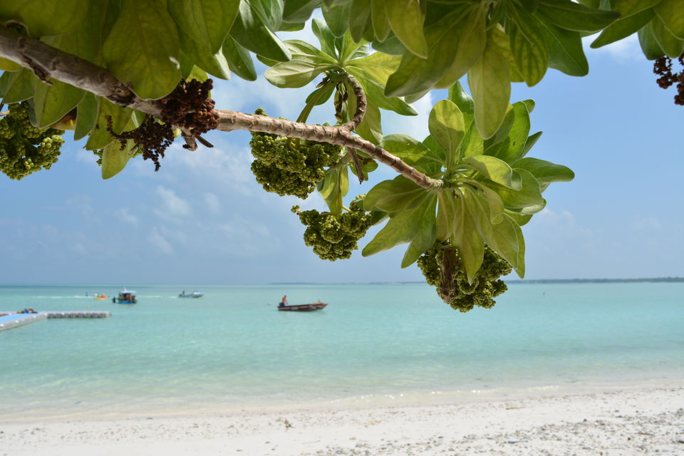 Photo of Minicoy Island, Lakshadweep, India by Debarghyo Sengupta