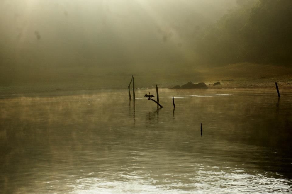 Photo of Periyar, Kerala, India by Debarghyo Sengupta