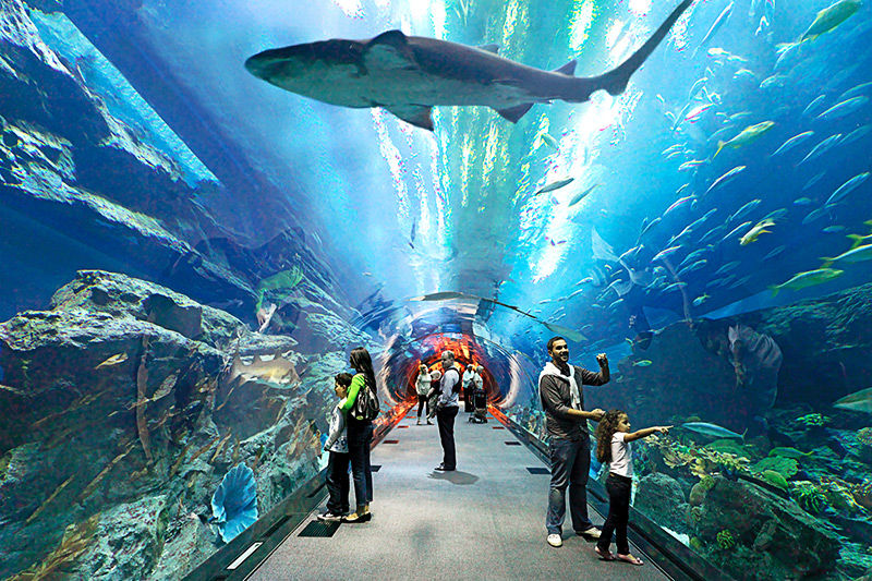 Photo of Dubai Sightseeing Combo 4N/5D 1/1 by AVA VACATIONS