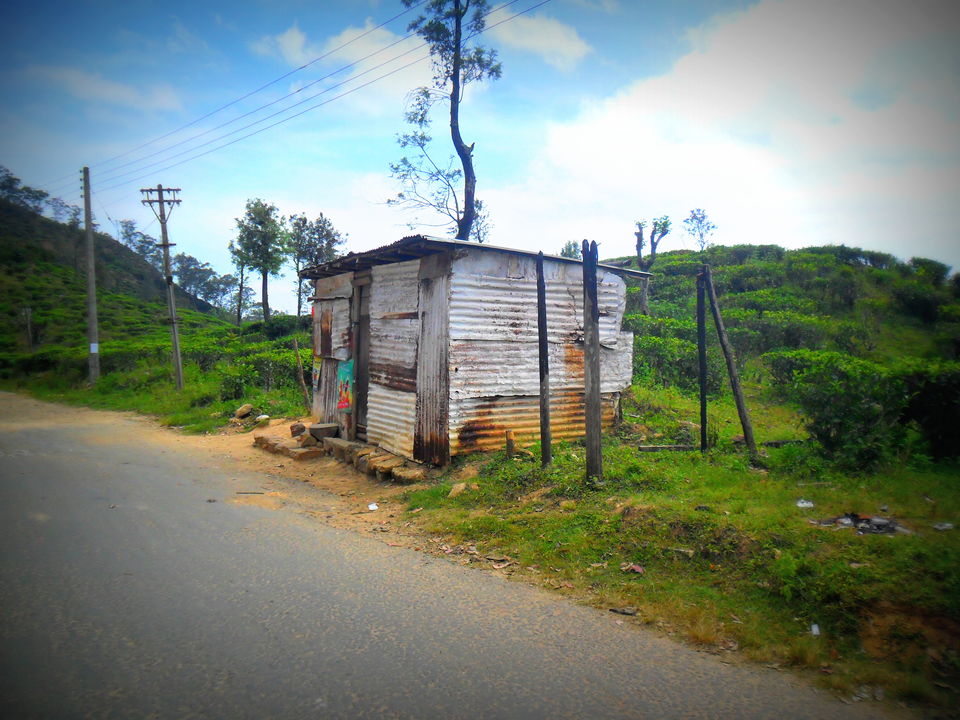 Photo of Journey To Bambaragala, Badulla, Sri Lanka. by Krishan Weerakoon
