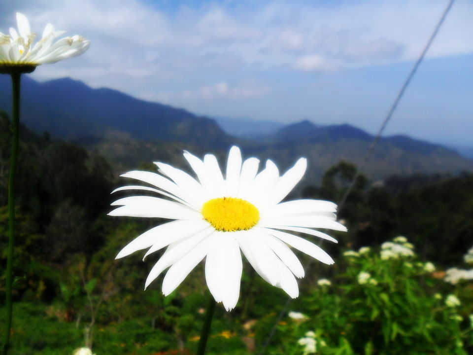 Photo of Journey To Bambaragala, Badulla, Sri Lanka. by Krishan Weerakoon